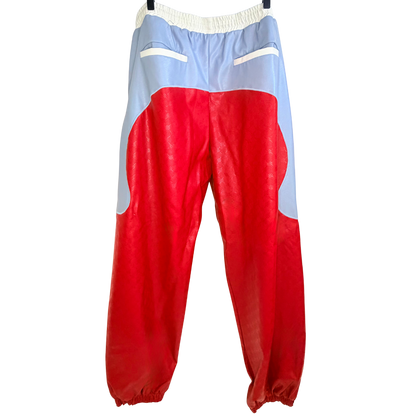 Men's Red & Blue Leather Pants